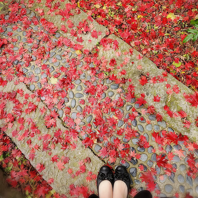 cherrycherryさんの実例写真