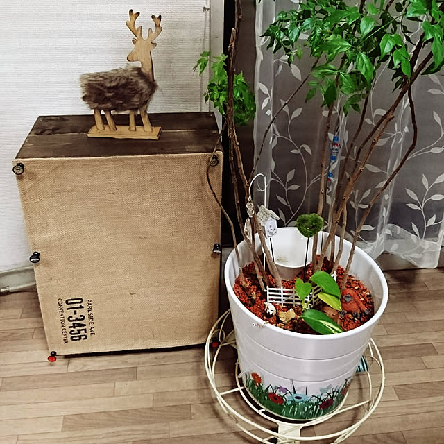 kiiroikumaさんの実例写真
