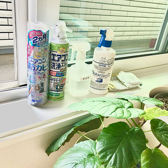 hayunoさんの実例写真