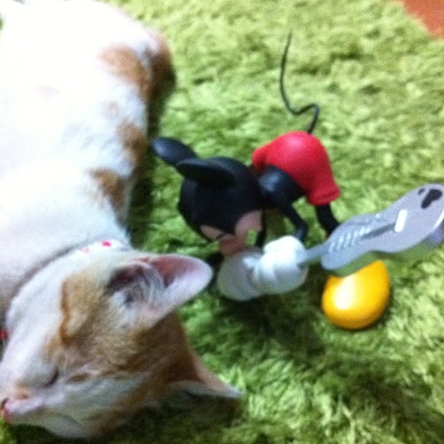 toshi0812さんの実例写真