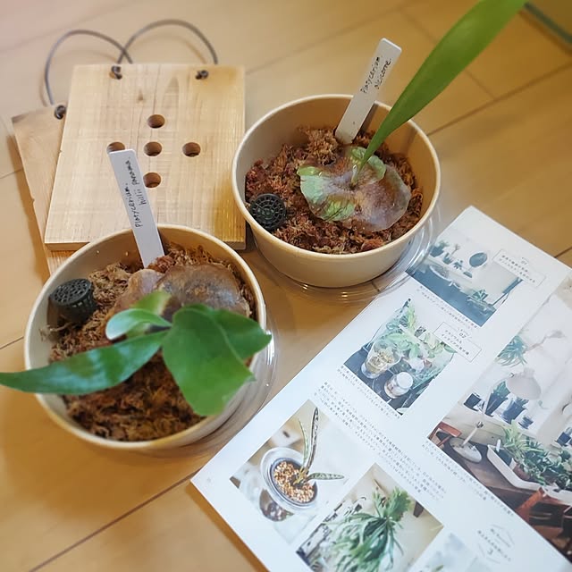 makkyさんの部屋