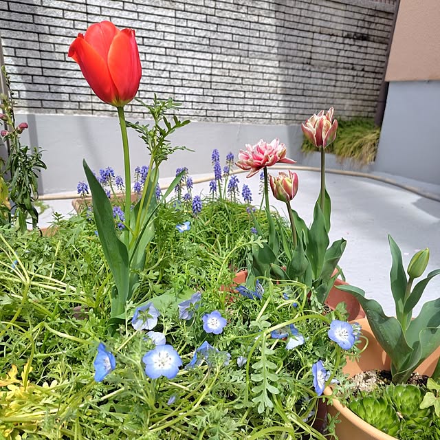 25Moondropsさんの実例写真