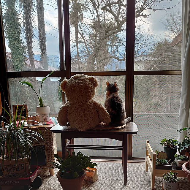 fukuさんの実例写真