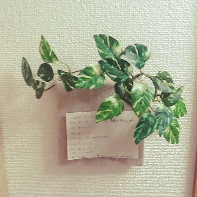 poppoさんの実例写真