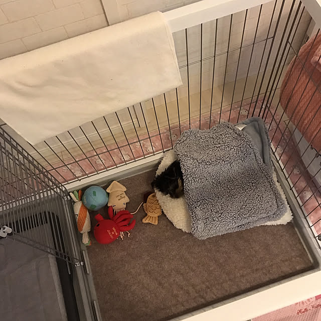 marikoさんの部屋