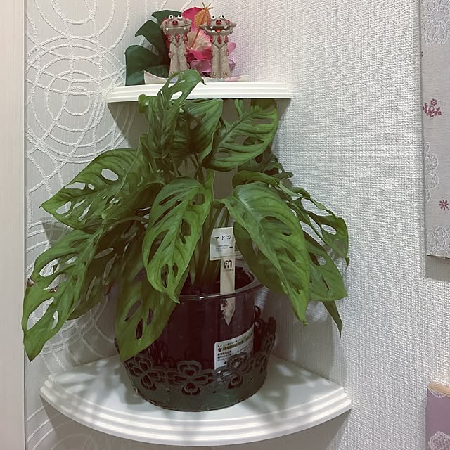 ryu23naさんの実例写真