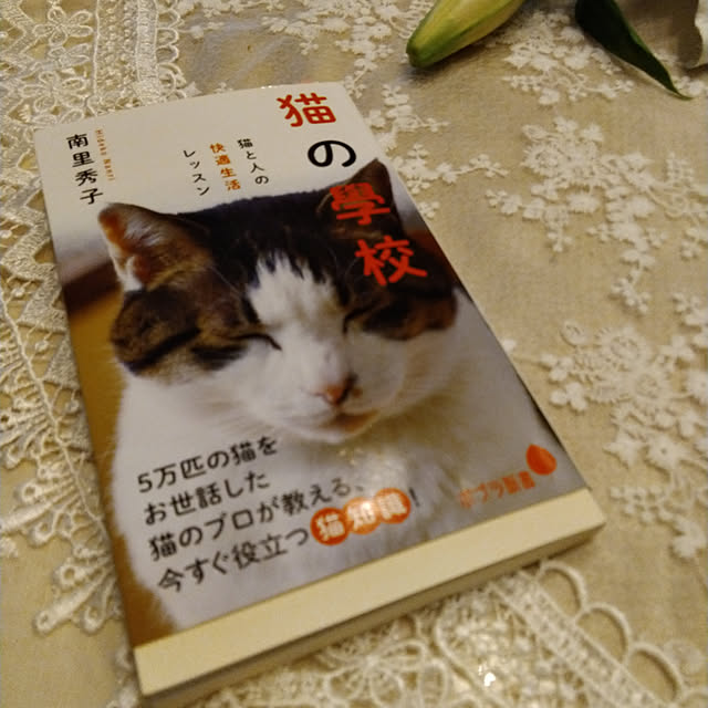 lilyさんの実例写真
