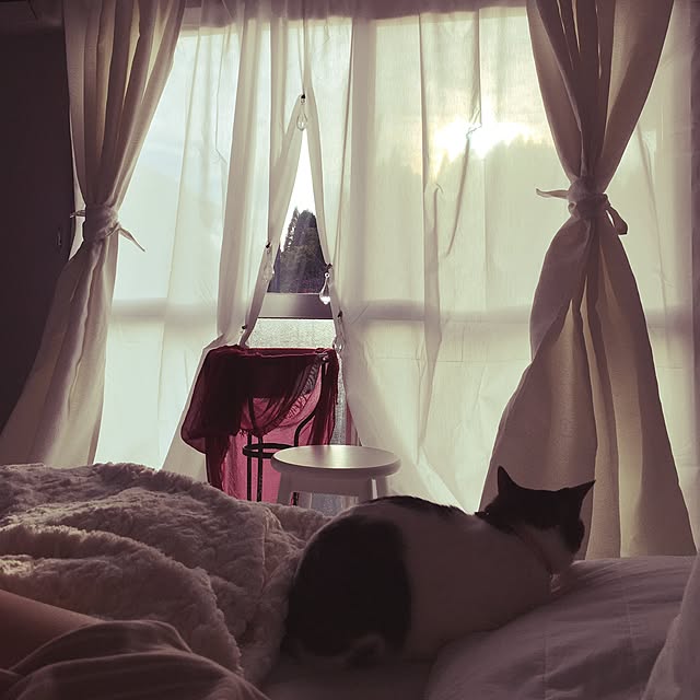Shihoさんの実例写真