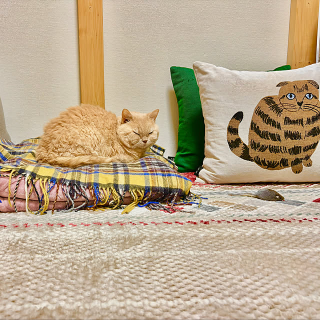 naokoさんの部屋