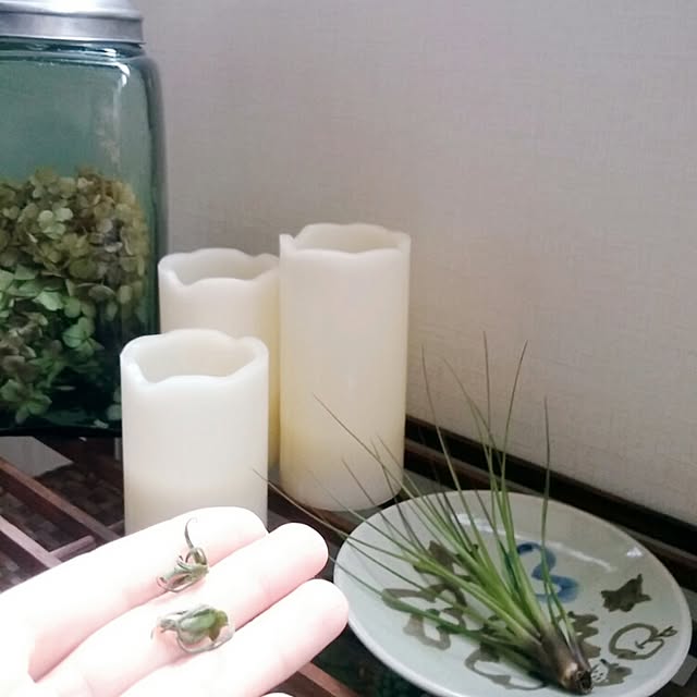 akikoさんの実例写真
