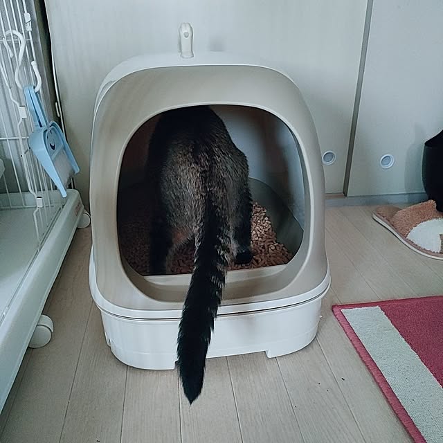 cocomintさんの部屋