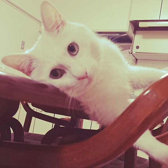 s-kさんの実例写真