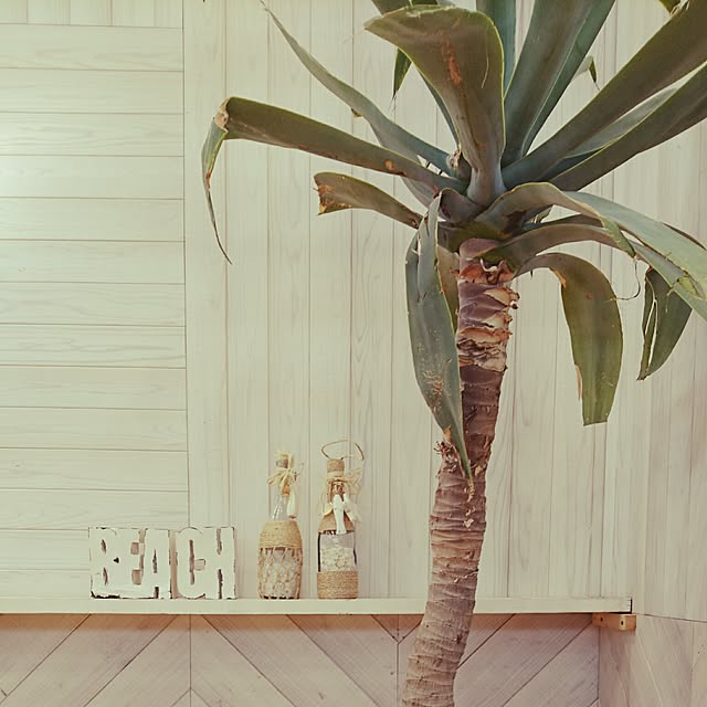 woodloversさんの実例写真
