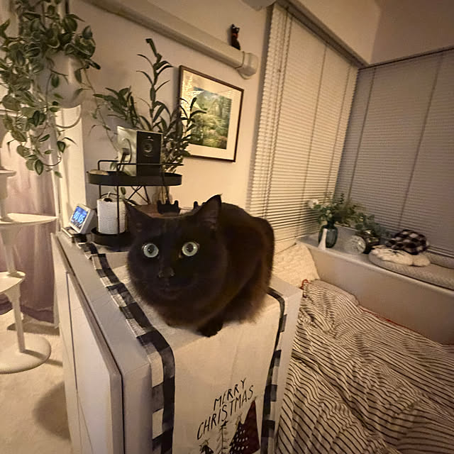 akihcclipさんの部屋