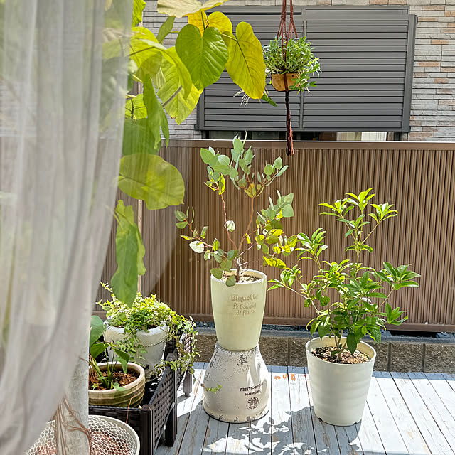 67さんの部屋