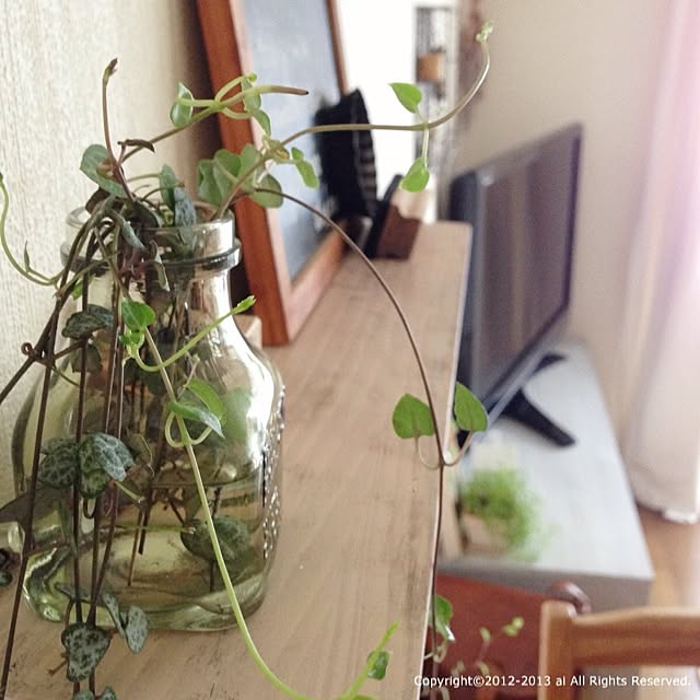 ai.さんの実例写真