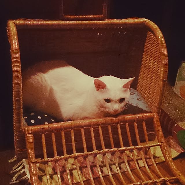 amifuuさんの実例写真
