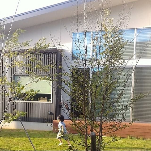 部屋全体/平屋/芝生/平屋くらし/ウッドデッキ...などのインテリア実例 - 2024-02-08 15:42:16
