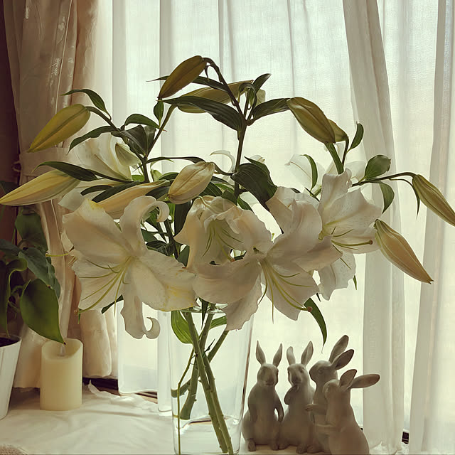 mamizaさんの実例写真