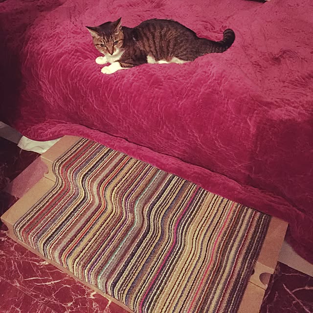 emmyyさんの実例写真