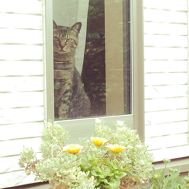 Hinataさんの実例写真
