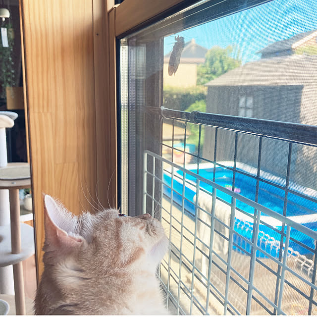 m.k.mさんの実例写真
