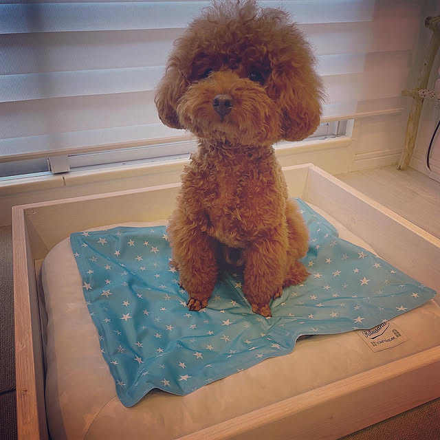 Rumakさんの実例写真