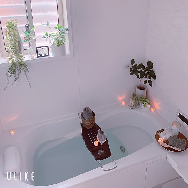 ナチュラル/観葉植物/フェイクグリーン/バス/トイレのインテリア実例 - 2019-09-29 16:36:18