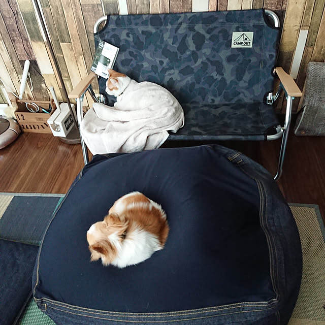 porinさんの実例写真