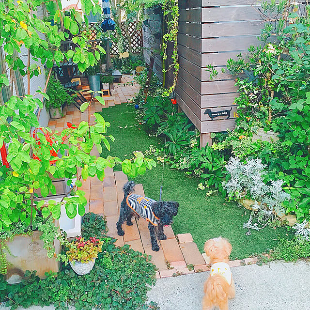 risaさんの実例写真