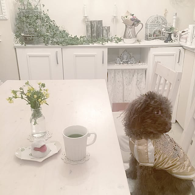 noelさんの実例写真