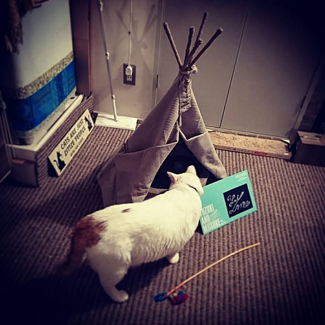 Kazukiさんの実例写真