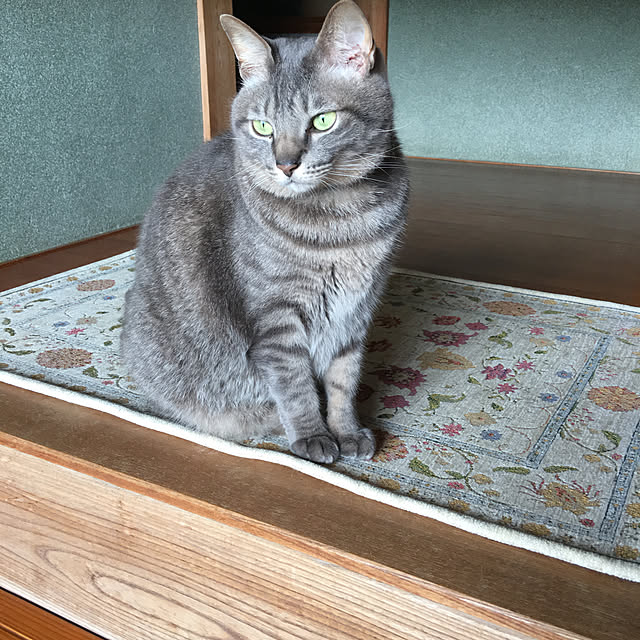 akekuroankoさんの実例写真