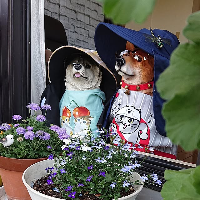NOAHさんの実例写真