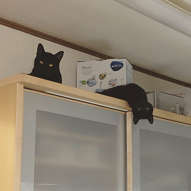 MIKImamaさんの実例写真