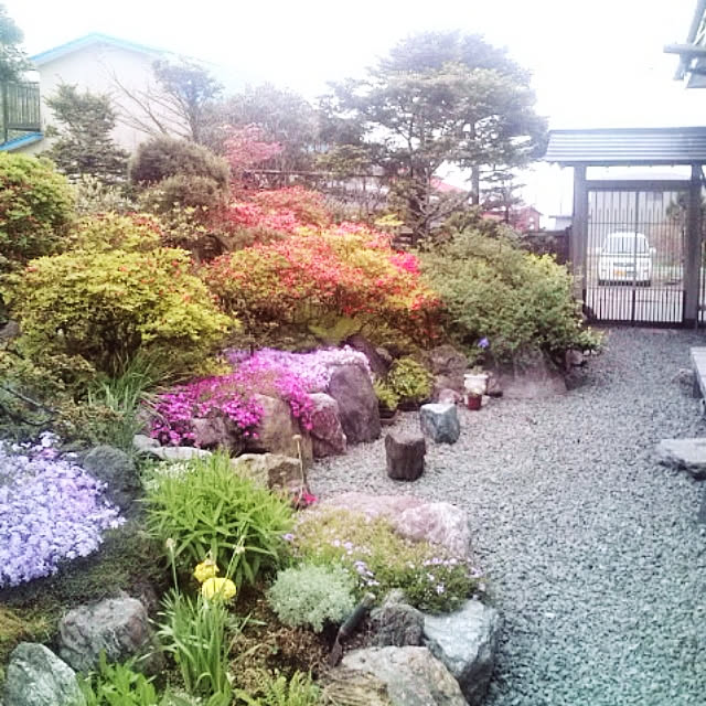 実例写真