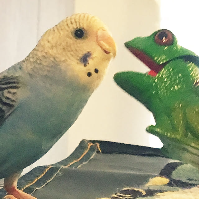 ohanaさんの実例写真