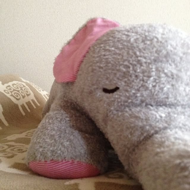 Yukiさんの実例写真