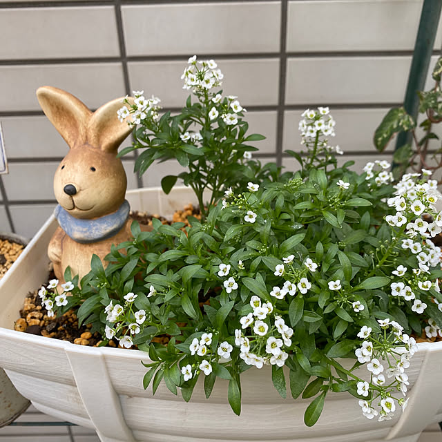 YuuKoさんの部屋