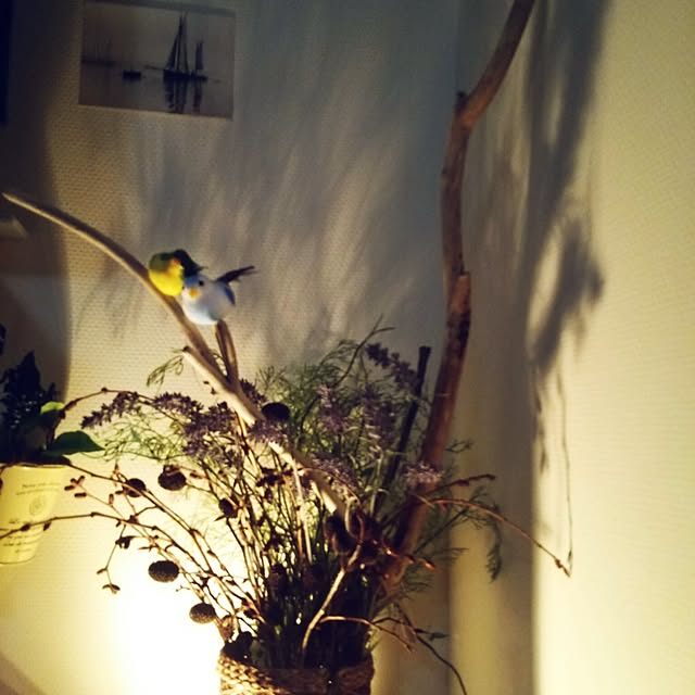 satominさんの実例写真