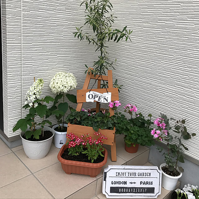 Nicoleさんの実例写真