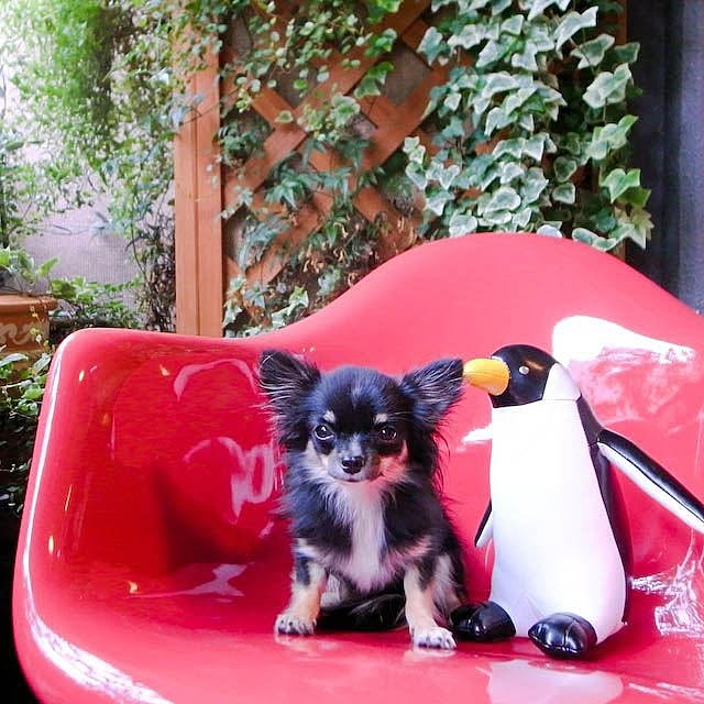 Shunsukeさんの実例写真