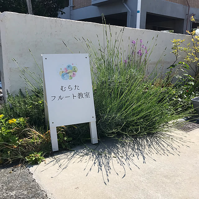 laflautaさんの実例写真