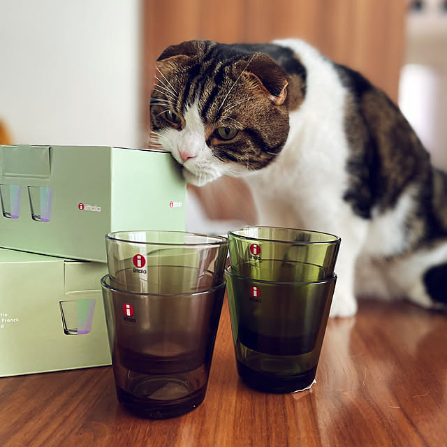tansukeさんの実例写真