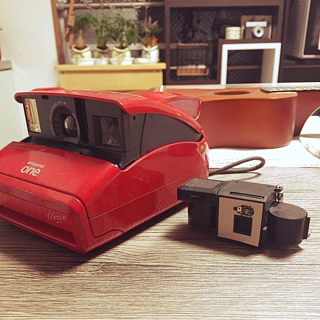 picoさんの実例写真