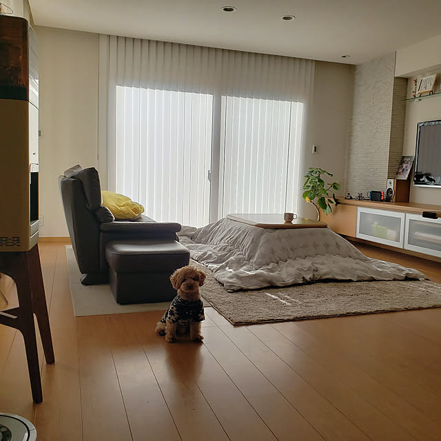 namiheiさんの実例写真