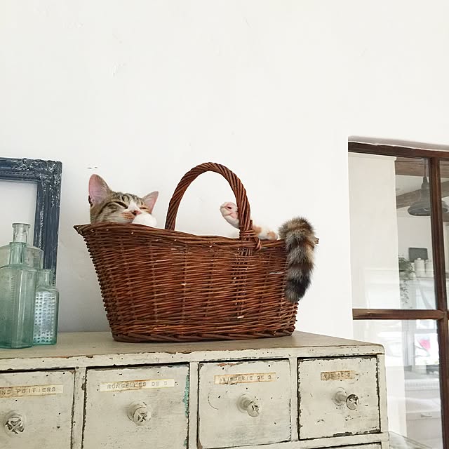 midoriさんの実例写真