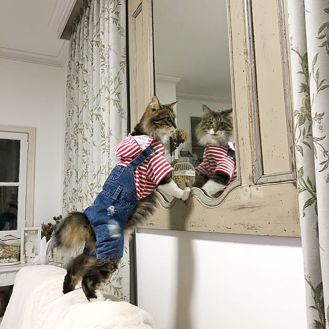 yuchiさんの実例写真