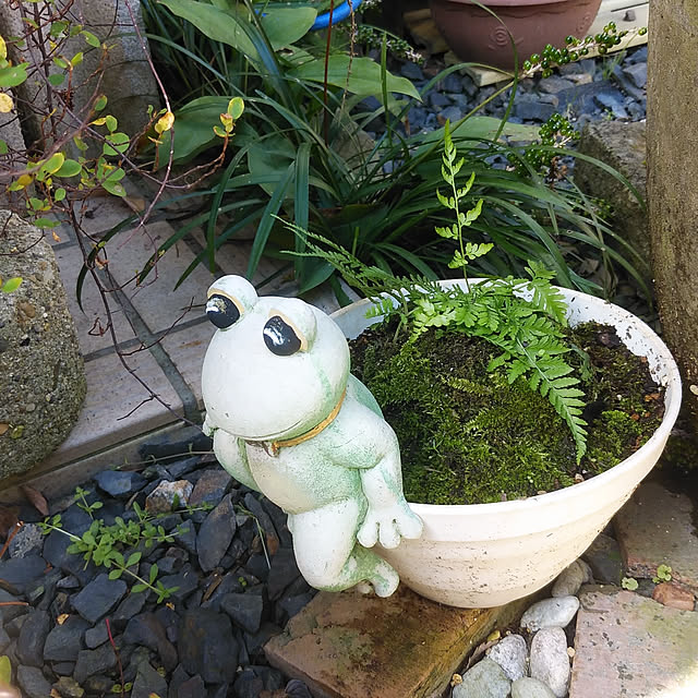 non.nonさんの実例写真
