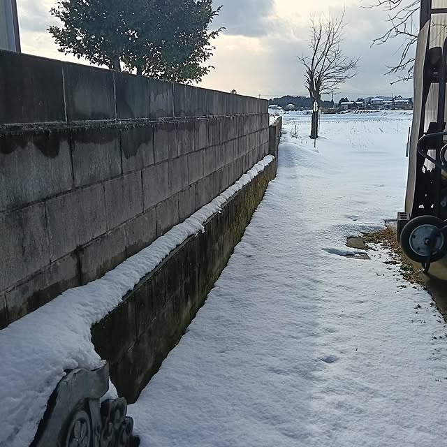 sumimarumiさんの部屋